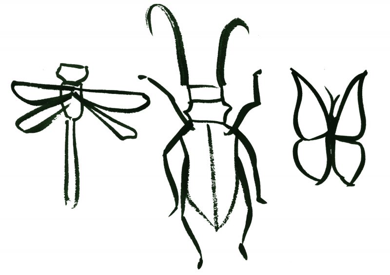Altruistes per naturalesa