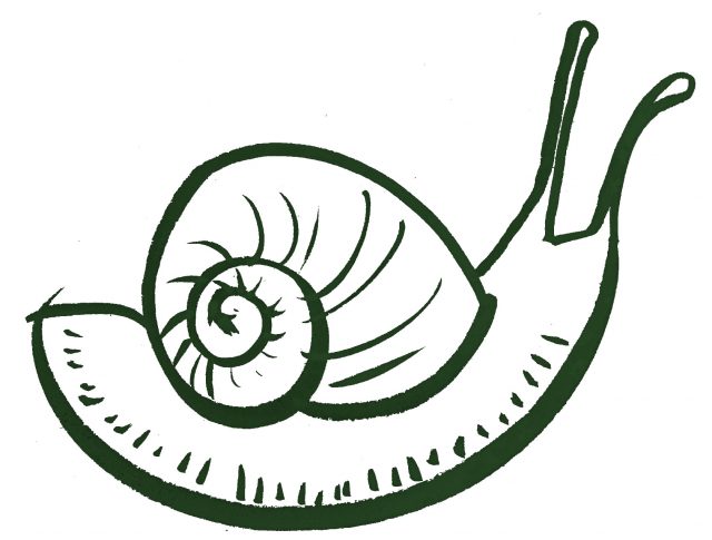 Dibuix d'un cargol