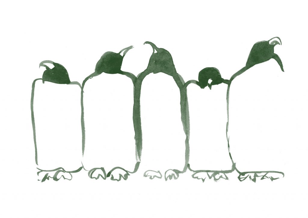 Grup de pingüins